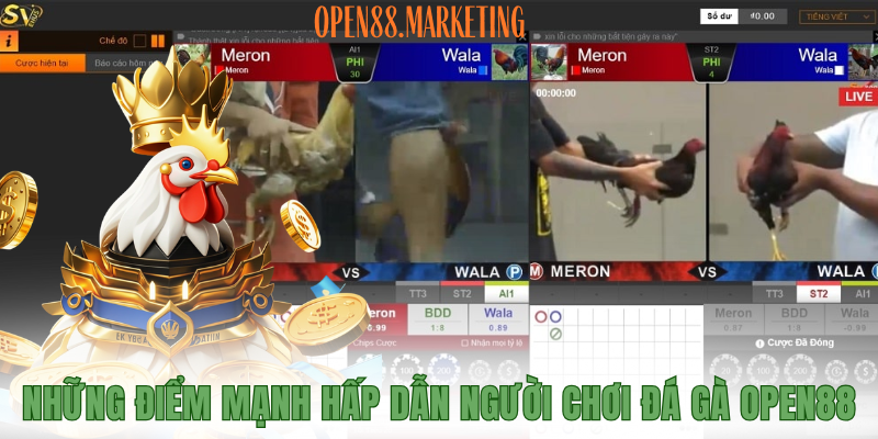 Những điểm mạnh hấp dẫn người chơi đá gà OPEN88